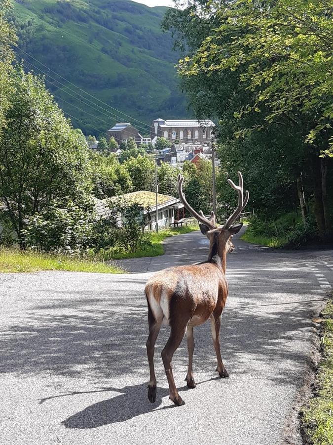 Riverside Pod, West Highland Way Holidays Kinlochleven Exteriör bild